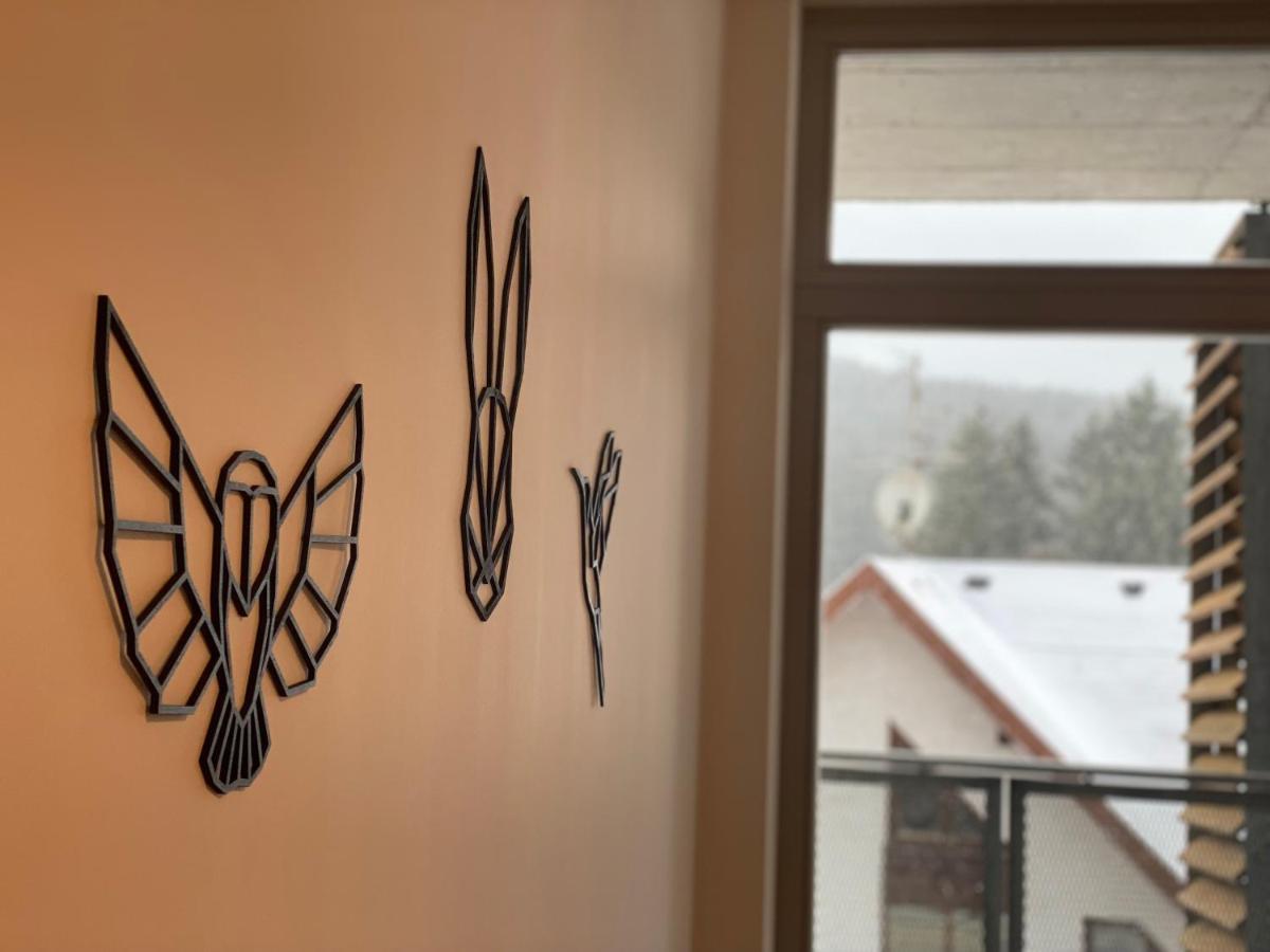 Luxusni Apartman U Sjezdovek S Garazi Harrachov Kültér fotó