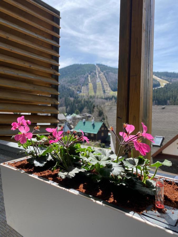Luxusni Apartman U Sjezdovek S Garazi Harrachov Kültér fotó