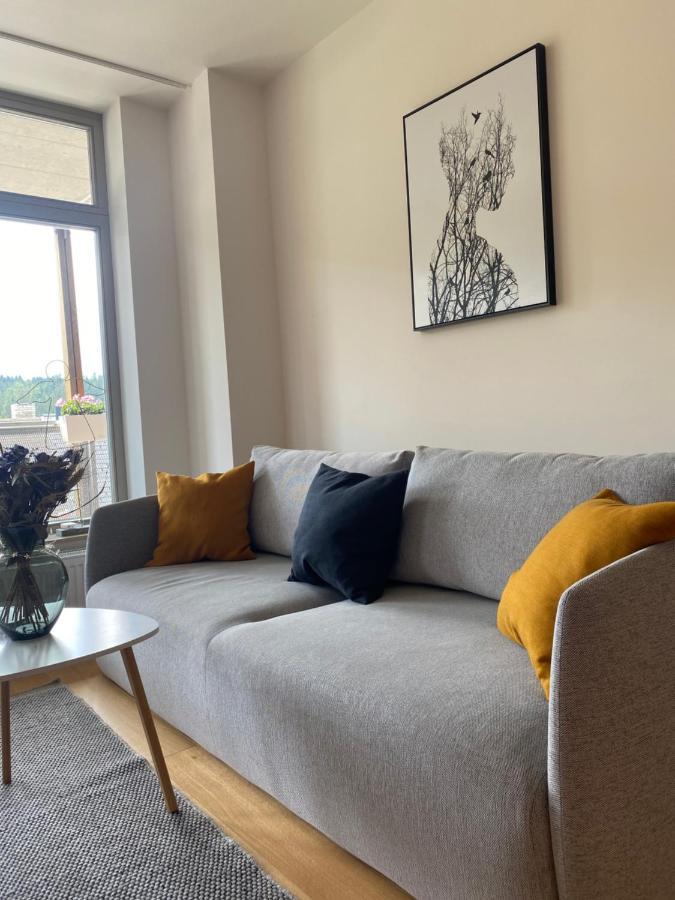 Luxusni Apartman U Sjezdovek S Garazi Harrachov Kültér fotó